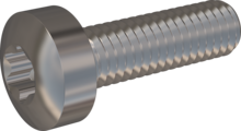 STM390300100E, Metric Machine Screw, STM39 3.0x10.0 - T10, stainless-steel A2, 1.4567, bright, pickled and passivated