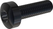 STM390300100J, Tornillo de rosca métrica, STM39 3.0x10.0 - T10, Acero Inoxidable A2, 1.4567, negro