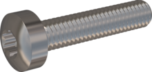 STM390300140E, Metric Machine Screw, STM39 3.0x14.0 - T10, stainless-steel A2, 1.4567, bright, pickled and passivated