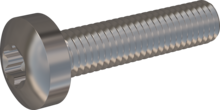 STM390500220E, Metric Machine Screw, STM39 5.0x22.0 - T25, stainless-steel A2, 1.4567, bright, pickled and passivated