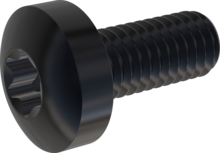 STM390600140J, Tornillo de rosca métrica, STM39 6.0x14.0 - T30, Acero Inoxidable A2, 1.4567, negro