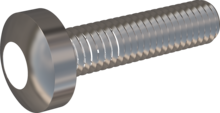 STM390600250E, Metric Machine Screw, STM39 6.0x25.0 - T30, stainless-steel A2, 1.4567, bright, pickled and passivated