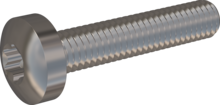 STM390600300E, Metric Machine Screw, STM39 6.0x30.0 - T30, stainless-steel A2, 1.4567, bright, pickled and passivated