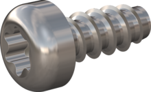 STP390400090E, Screw for Plastic, STP39 4.0x9.0 - T20, stainless-steel A2, 1.4567, bright, pickled and passivated