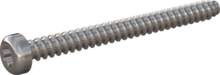 STP390500550E, Screw for Plastic, STP39 5.0x55.0 - T25, stainless-steel A2, 1.4567, bright, pickled and passivated