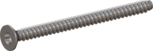 STP410600800E, Screw for Plastic, STP41 6.0x80.0 - T30, stainless-steel A2, 1.4567, bright, pickled and passivated
