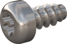 STP420300060E, Screw for Plastic, STP42 3.0x6.0 - TT10, stainless-steel A2, 1.4567, bright, pickled and passivated